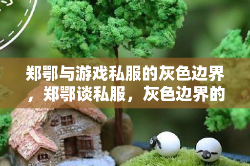 郑鄂与游戏私服的灰色边界,郑鄂谈私服,灰色边界的灰色利益 郑鄂与游戏私服的灰色边界,郑鄂谈私服,灰色边界的灰色利益