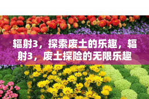 辐射3,探索废土的乐趣,辐射3,废土探险的无限乐趣 辐射3,探索废土的乐趣,辐射3,废土探险的无限乐趣