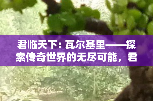 探索传奇世界的无尽可能图片