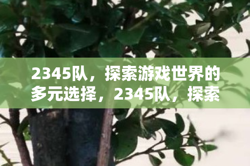 2345队,探索游戏世界的多元选择,2345队,探索游戏世界的多元选择 2345队,探索游戏世界的多元选择,2345队,探索游戏世界的多元选择