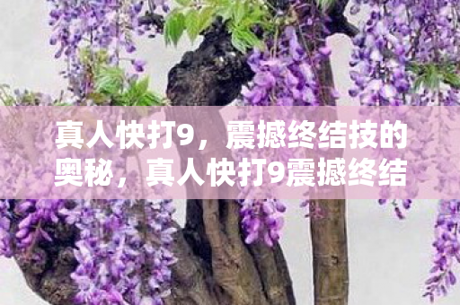 真人快打9，震撼终结技的奥秘，真人快打9震撼终结技，揭秘其奥秘