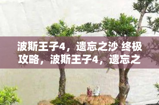 波斯王子4,遗忘之沙 终极攻略,波斯王子4,遗忘之沙终极攻略,解锁隐藏秘密,助你轻松通关! 波斯王子4,遗忘之沙 终极攻略,波斯王子4,遗忘之沙终极攻略,解锁隐藏秘密,助你轻松通关!