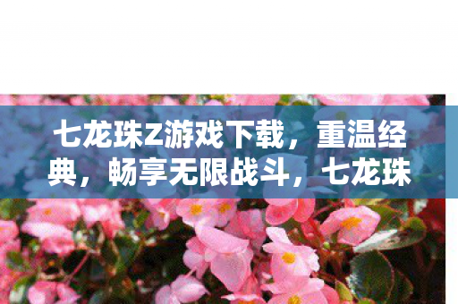 七龙珠Z游戏下载图片