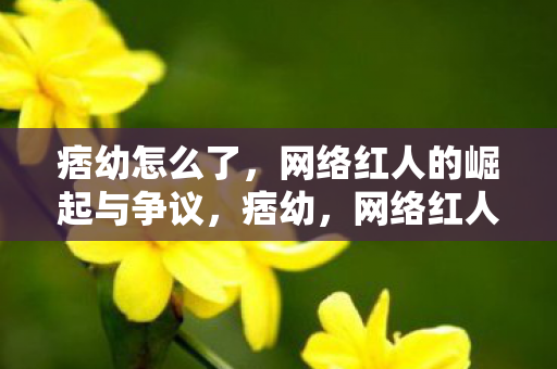 网络红人的崛起与争议图片