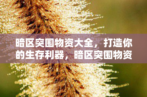 暗区突围物资大全,打造你的生存利器,暗区突围物资全解析,打造生存利器 暗区突围物资大全,打造你的生存利器,暗区突围物资全解析,打造生存利器