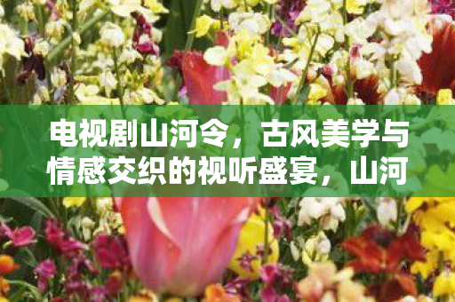 古风美学与情感交织的视听盛宴图片