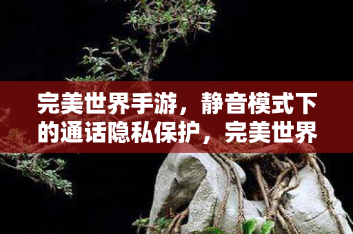 静音模式下通话隐私保护新体验图片