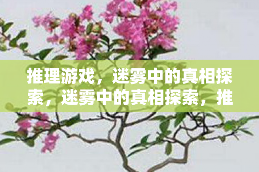 推理游戏，迷雾中的真相探索，迷雾中的真相探索，推理游戏