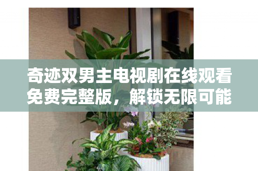 奇迹双男主电视剧在线观看免费完整版图片
