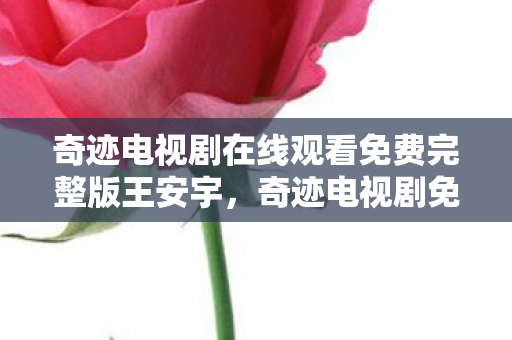 奇迹电视剧在线观看免费完整版王安宇图片