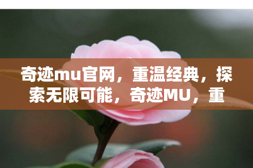 奇迹mu官网图片