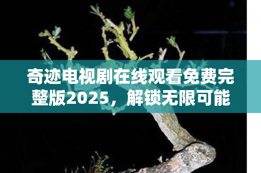奇迹电视剧在线观看免费完整版2025图片