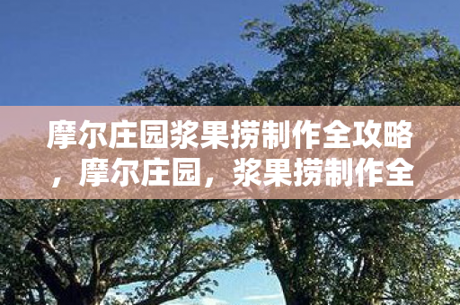 摩尔庄园浆果捞制作全攻略,摩尔庄园,浆果捞制作全攻略 摩尔庄园浆果捞制作全攻略,摩尔庄园,浆果捞制作全攻略