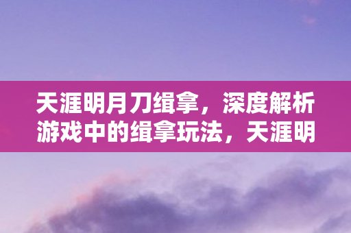 天涯明月刀缉拿，深度解析游戏中的缉拿玩法，天涯明月刀缉拿玩法深度解析