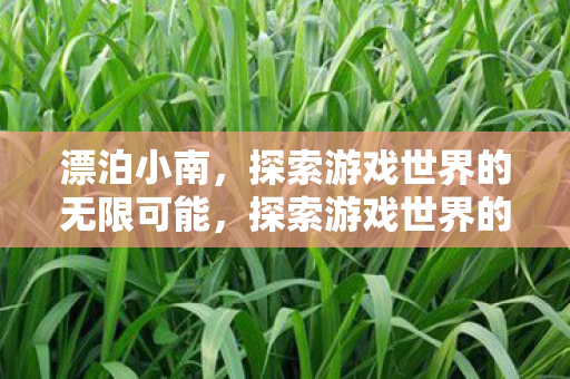 漂泊小南,探索游戏世界的无限可能,探索游戏世界的无限可能,漂泊小南的旅程 漂泊小南,探索游戏世界的无限可能,探索游戏世界的无限可能,漂泊小南的旅程