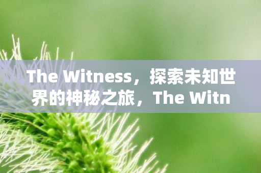 The Witness，探索未知世界的神秘之旅，The Witness，探索未知世界的神秘之旅