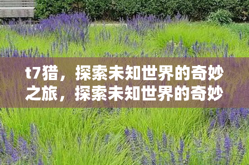 t7猎，探索未知世界的奇妙之旅，探索未知世界的奇妙之旅，T7猎