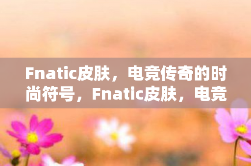 Fnatic皮肤，电竞传奇的时尚符号，Fnatic皮肤，电竞传奇的时尚符号