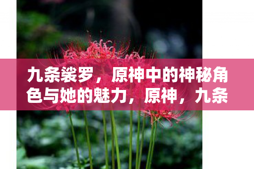 九条裟罗,原神中的神秘角色与她的魅力,原神,九条裟罗的神秘魅力与角色解析 九条裟罗,原神中的神秘角色与她的魅力,原神,九条裟罗的神秘魅力与角色解析