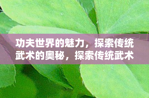 功夫世界的魅力,探索传统武术的奥秘,探索传统武术奥秘,功夫世界的魅力 功夫世界的魅力,探索传统武术的奥秘,探索传统武术奥秘,功夫世界的魅力