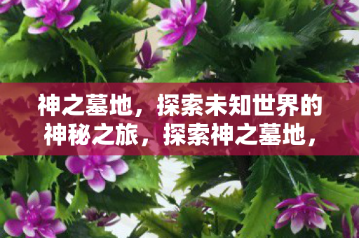 神之墓地,探索未知世界的神秘之旅,探索神之墓地,神秘之旅开启未知世界 神之墓地,探索未知世界的神秘之旅,探索神之墓地,神秘之旅开启未知世界