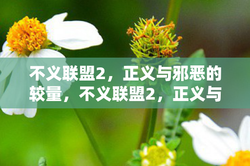 不义联盟2，正义与邪恶的较量，不义联盟2，正义与邪恶的终极对决