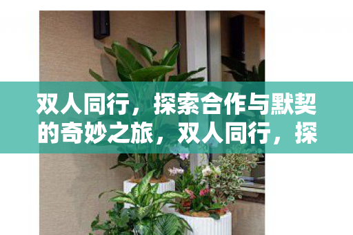 双人同行,探索合作与默契的奇妙之旅,双人同行,探索合作与默契的奇妙之旅 双人同行,探索合作与默契的奇妙之旅,双人同行,探索合作与默契的奇妙之旅