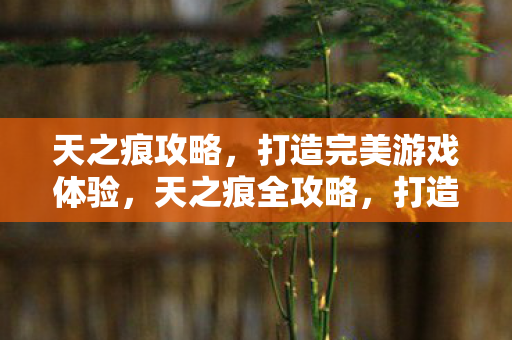 打造完美游戏体验图片
