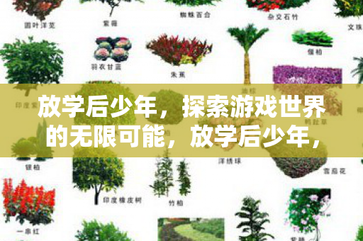 探索游戏世界的无限可能图片