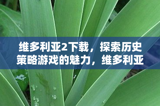 探索历史策略游戏的独特魅力图片
