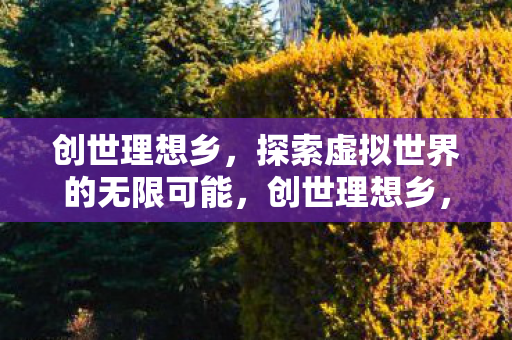 创世理想乡,探索虚拟世界的无限可能,创世理想乡,探索虚拟世界的无限可能 创世理想乡,探索虚拟世界的无限可能,创世理想乡,探索虚拟世界的无限可能