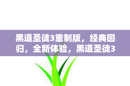 黑道圣徒3重制版,经典回归,全新体验,黑道圣徒3重制版,经典回归,全新体验来袭 黑道圣徒3重制版,经典回归,全新体验,黑道圣徒3重制版,经典回归,全新体验来袭