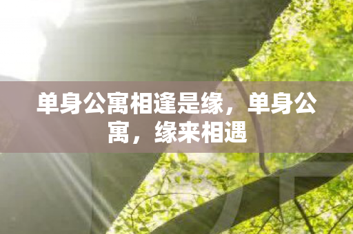 单身公寓相逢是缘,单身公寓,缘来相遇 单身公寓相逢是缘,单身公寓,缘来相遇