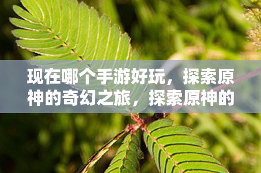 现在哪个手游好玩,探索原神的奇幻之旅,探索原神的奇幻之旅,手游新宠 现在哪个手游好玩,探索原神的奇幻之旅,探索原神的奇幻之旅,手游新宠