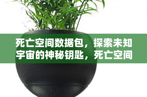 死亡空间数据包,探索未知宇宙的神秘钥匙,死亡空间数据包,解锁宇宙神秘之门的钥匙 死亡空间数据包,探索未知宇宙的神秘钥匙,死亡空间数据包,解锁宇宙神秘之门的钥匙