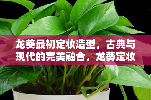 龙葵最初定妆造型,古典与现代的完美融合,龙葵定妆造型,古典与现代的完美融合 龙葵最初定妆造型,古典与现代的完美融合,龙葵定妆造型,古典与现代的完美融合