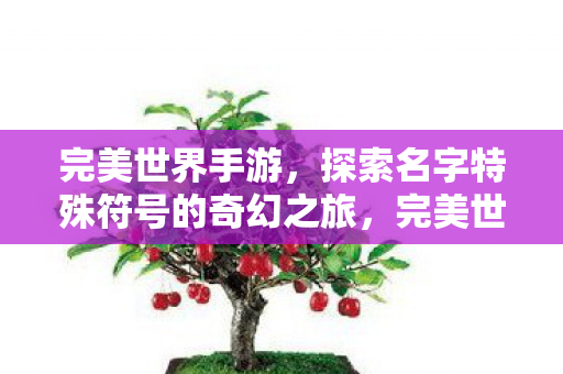 探索名字特殊符号的奇幻之旅图片