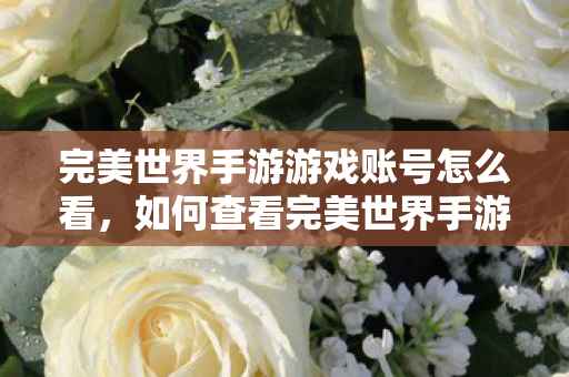 如何查看完美世界手游游戏账号图片