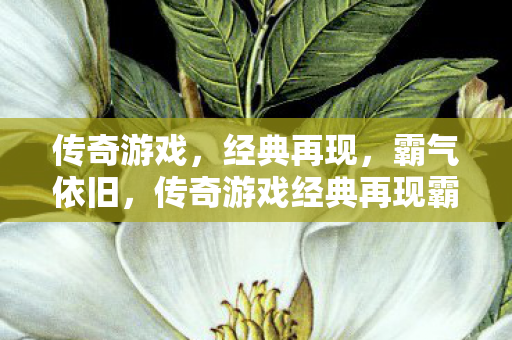传奇游戏经典再现霸气依旧图片