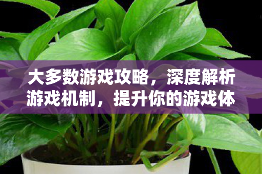 深度解析游戏机制图片