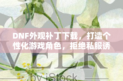 DNF外观补丁下载，打造个性化游戏角色，拒绝私服诱惑，DNF外观补丁，打造个性化游戏角色，拒绝私服诱惑
