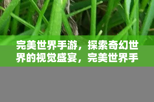 探索奇幻世界的视觉盛宴图片