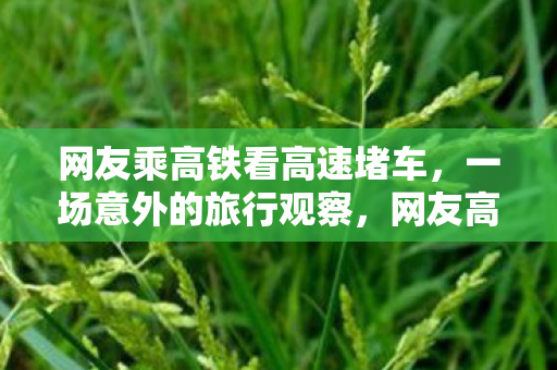 网友乘高铁看高速堵车,一场意外的旅行观察,网友高铁偶遇高速堵车,意外开启旅行观察模式 网友乘高铁看高速堵车,一场意外的旅行观察,网友高铁偶遇高速堵车,意外开启旅行观察模式