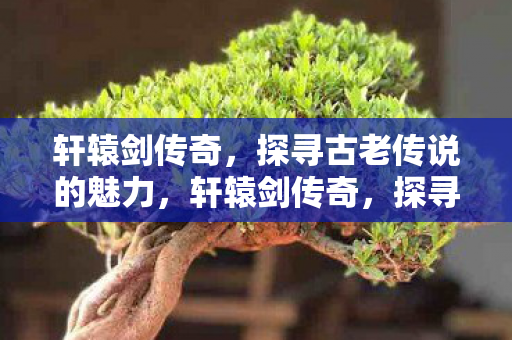 轩辕剑传奇,探寻古老传说的魅力,轩辕剑传奇,探寻古老传说的魅力 轩辕剑传奇,探寻古老传说的魅力,轩辕剑传奇,探寻古老传说的魅力