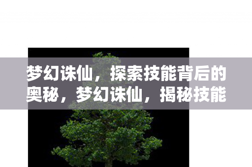 梦幻诛仙,探索技能背后的奥秘,梦幻诛仙,揭秘技能背后的奥秘 梦幻诛仙,探索技能背后的奥秘,梦幻诛仙,揭秘技能背后的奥秘