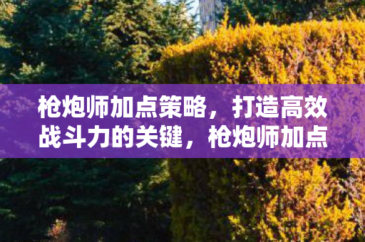 枪炮师加点策略,打造高效战斗力的关键,枪炮师加点策略,打造高效战斗力的关键 枪炮师加点策略,打造高效战斗力的关键,枪炮师加点策略,打造高效战斗力的关键
