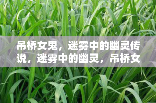 吊桥女鬼,迷雾中的幽灵传说,迷雾中的幽灵,吊桥女鬼的传说 吊桥女鬼,迷雾中的幽灵传说,迷雾中的幽灵,吊桥女鬼的传说