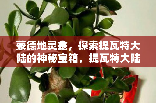 蒙德地灵龛,探索提瓦特大陆的神秘宝箱,提瓦特大陆的神秘宝藏,探索蒙德地灵龛 蒙德地灵龛,探索提瓦特大陆的神秘宝箱,提瓦特大陆的神秘宝藏,探索蒙德地灵龛