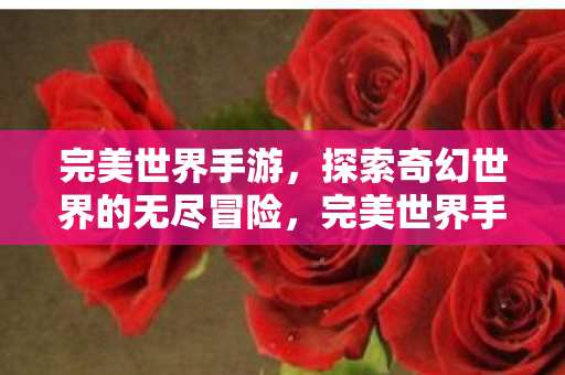 探索奇幻世界的无尽冒险之旅图片