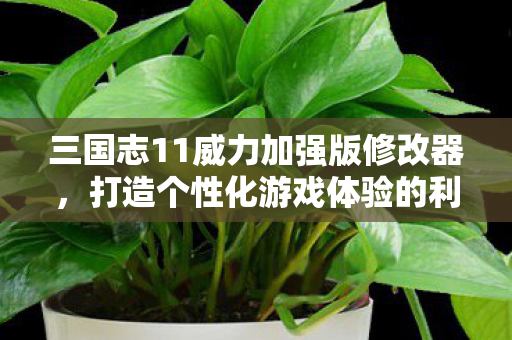 三国志11威力加强版修改器,打造个性化游戏体验的利器,三国志11威力加强版修改器,打造个性化游戏体验 三国志11威力加强版修改器,打造个性化游戏体验的利器,三国志11威力加强版修改器,打造个性化游戏体验